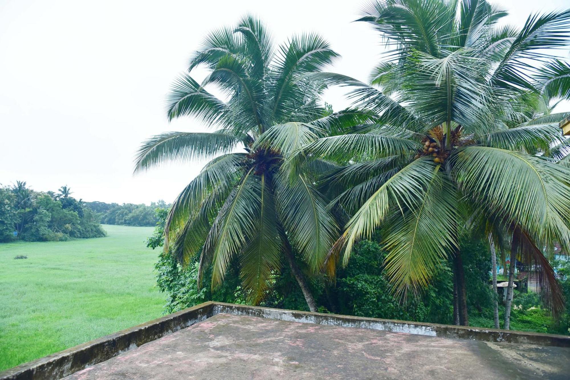 Field Stone -3 Bhk Duplex Villa Talaulim 外观 照片